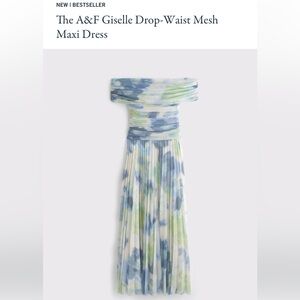 Abercrombie & Fitch Blue Green Pleated Strapless Maxi Dress